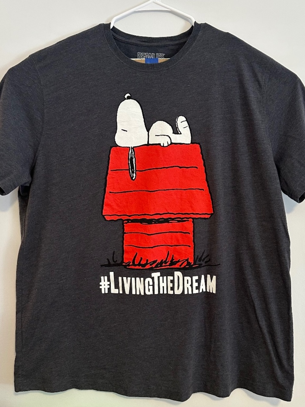 Snoopy Living The Dream Graphic Print T-Shirt 3XLT Gray Y2K Cartoon Short Sleeve